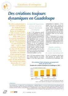 Créations d’entreprise - Des créations toujours dynamiques en Guadeloupe 