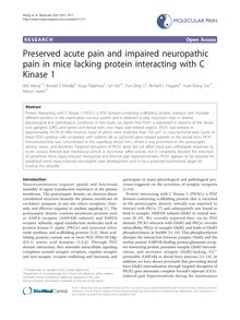 Preserved acute pain and impaired neuropathic pain in mice lacking protein interacting with C Kinase 1