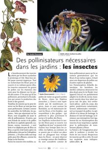 Des pollinisateurs nécessaires dans les jardins   les insectes