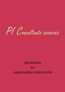 Plaquette PI Consultants Associés