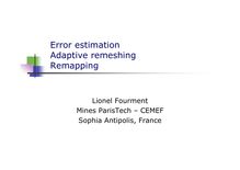 Error estimation Adaptive remeshing Remapping