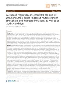 Metabolic regulation of Escherichia coliand its phoBand phoRgenes knockout mutants under phosphate and nitrogen limitations as well as at acidic condition