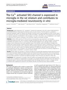 The Ca2+activated SK3 channel is expressed in microglia in the rat striatum and contributes to microglia-mediated neurotoxicity in vitro