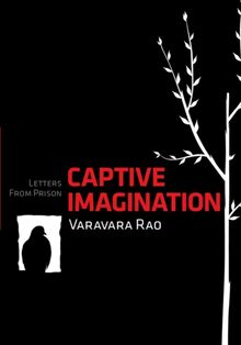 Captive Imagination