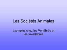 Les Sociétés Animales - jc-lenoir