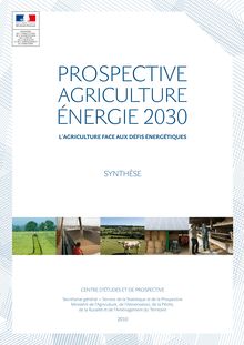 Prospective agriculture énergie 2030. L agriculture face aux défis énergétiques. : Synthese