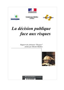 La décision publique face aux risques : rapport du séminaire Risques animé par Michel Matheu