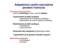 Adaptations cardio vasculaires pendant l exercice