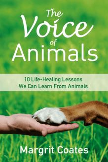 Voice of Animals
