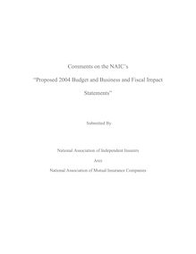 NAIC Budget Comment 20041