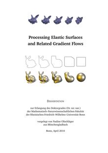 Processing elastic surfaces and related gradient flows [Elektronische Ressource] / vorgelegt von Nadine Olischläger