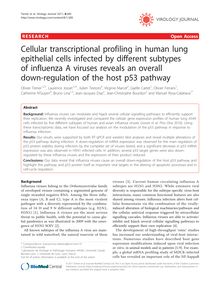 Cellular transcriptional profiling in human lung epithelial cells infected by different subtypes of influenza A viruses reveals an overall down-regulation of the host p53 pathway
