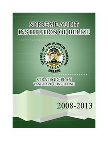 SUPREME AUDIT INSTITUTION OF BELIZE