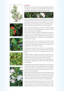 "Les vertus des plantes 3" (3,7 Mo - Mise en page 1