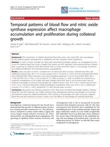 Temporal patterns of blood flow and nitric oxide synthase expression affect macrophage accumulation and proliferation during collateral growth