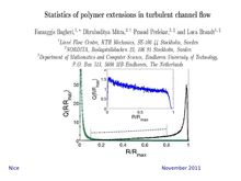 Statistics of polymer extensions in channel flow