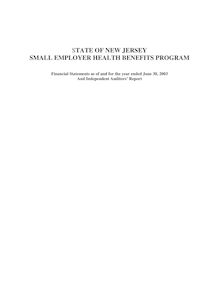 2003 SEH Audit Report - Draft4