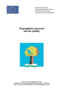 Tropospheric processes and air quality