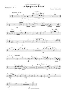 Partition basson 1/2, A symphonique Poem, Krähenbühl, Samuel