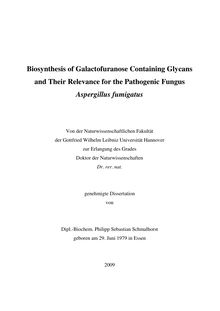 Biosynthesis of galactofuranose containing glycans and their relevance for the pathogenic fungus Aspergillus fumigatus [Elektronische Ressource] / Philipp Sebastian Schmalhorst