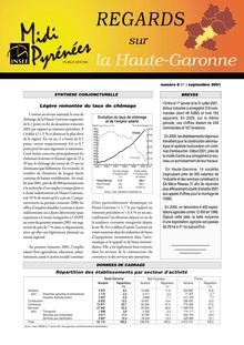 L industrie en Haute-Garonne : Regards n°6