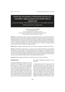 Estado del conocimiento en Weinmannia tomentosa L.f.(encenillo) y algunas propuestas de estudio sobre suregeneración