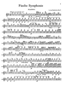 Partition flûte 1, 2, Piccolo, Symphony No.5, Op.67, C minor, Beethoven, Ludwig van