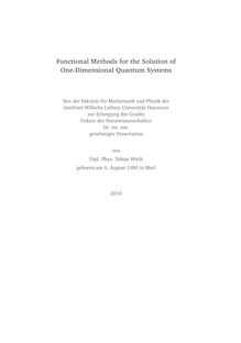 Functional methods for the solution of one-dimensional quantum systems [Elektronische Ressource] / Tobias Wirth