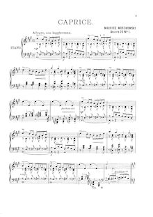 Partition complète, 2 Piano pièces, Op.75, Moszkowski, Moritz