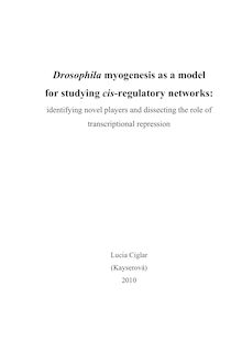 Drosophila myogenesis as a model for studying cis-regulatory networks [Elektronische Ressource] : identifying novel players and dissecting the role of transcriptional repression / Lucia Ciglar