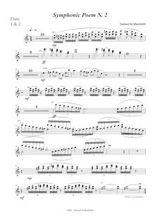 Partition flûte 1/2, symphonique Poem No.2, Krähenbühl, Samuel