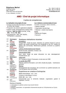 AMO / Chef de projet informatique