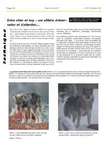 Entre chien et loup : une affaire d'obser- vation et d'attention...