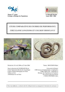 Etude comparative de courbes de performance chez Elaphe longissima et Coluber viridiflavus