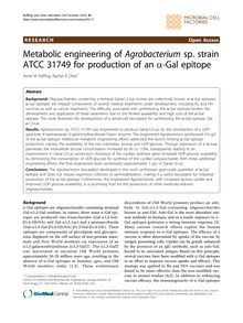 Metabolic engineering of Agrobacteriumsp. strain ATCC 31749 for production of an α-Gal epitope
