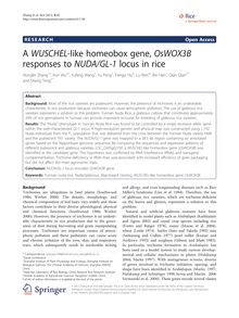 A WUSCHEL-like homeobox gene, OsWOX3B responses to NUDA/GL-1 locus in rice