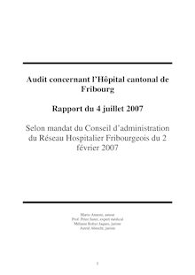 07-07-04 Rapport final audit Annoni Hôpital cantonal