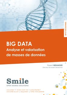 Big Data Analyse et valorisation de masses de données (Smile)