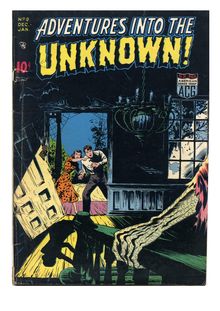 Adventures into the Unknown 008