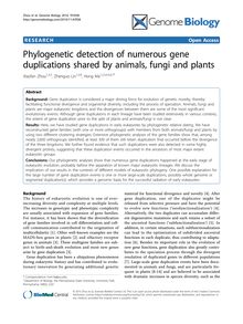 Phylogenetic detection of numerous gene duplications shared by animals, fungi and plants