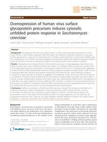 Overexpression of human virus surface glycoprotein precursors induces cytosolic unfolded protein response in Saccharomyces cerevisiae