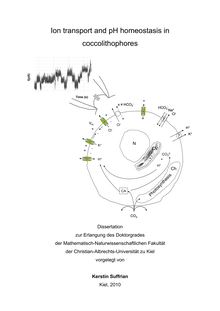Ion transport and pH homeostasis in coccolithophores [Elektronische Ressource] / vorgelegt von Kerstin Suffrian