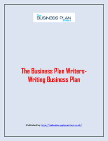 The Business Plan Writers