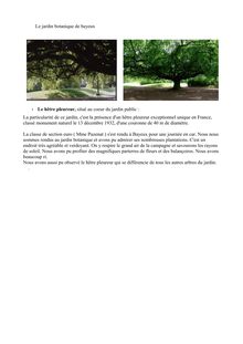 PDF - 72.2 ko - Le jardin botanique de bayeux Le hêtre pleureur ...
