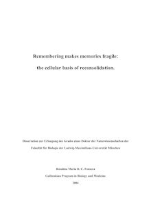 Remembering makes memories fragile [Elektronische Ressource] : the cellular basis of reconsolidation / Rosalina Maria R. C. Fonseca