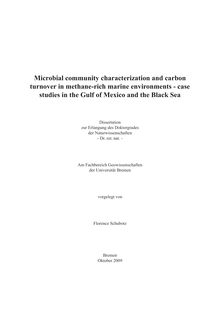 Microbial community characterization and carbon turnover in methane-rich marine environments [Elektronische Ressource] : case studies in the Gulf of Mexico and the Black Sea / vorgelegt von Florence Schubotz