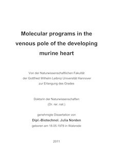 Molecular programs in the venous pole of the developing murine heart [Elektronische Ressource] / Julia Norden