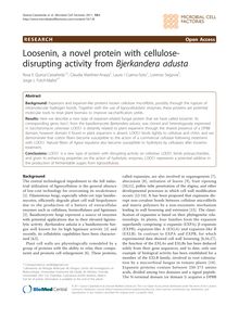 Loosenin, a novel protein with cellulose-disrupting activity from Bjerkandera adusta