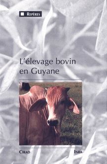 L élevage bovin en Guyane