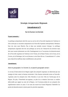 Amendements_Stratégie_Aéroportuaire